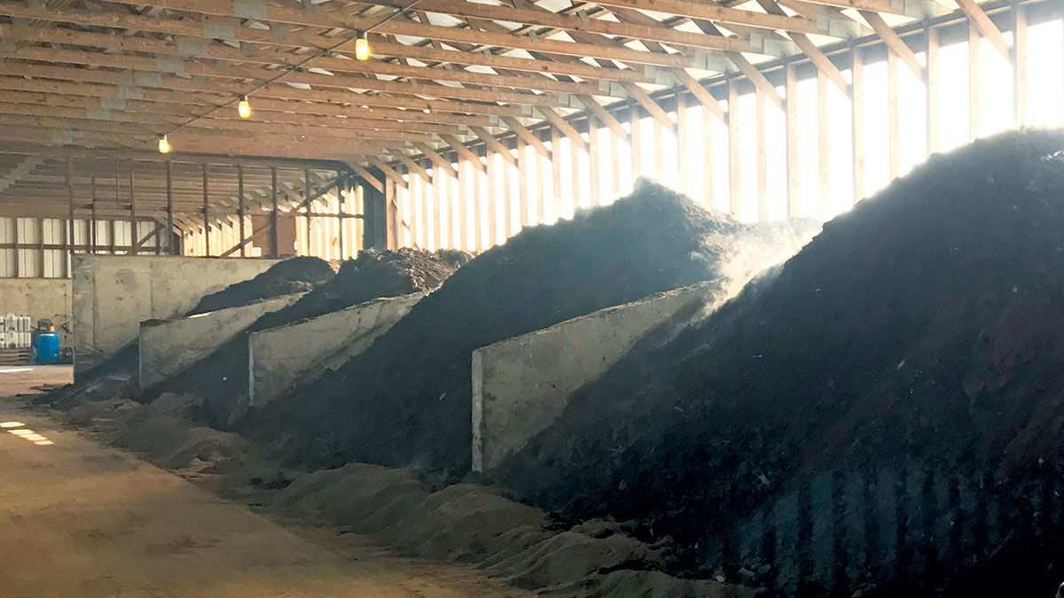 Swine mortality composting site.